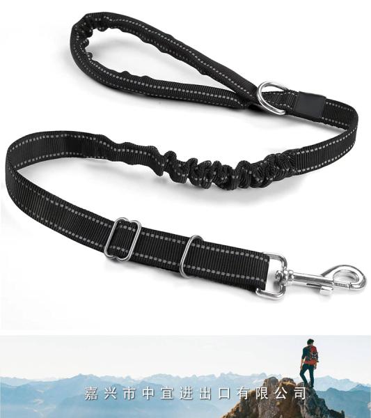 Dog Leash